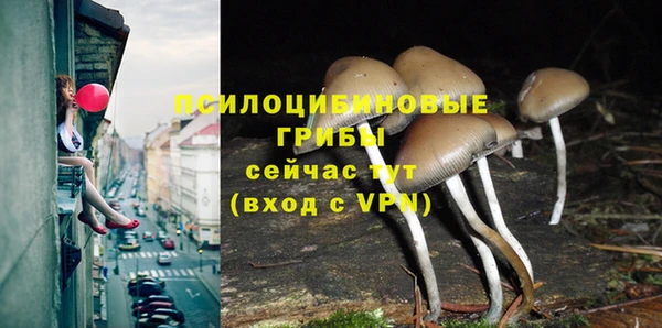 соль курить ск Алзамай