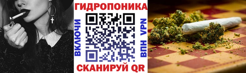 Бошки марихуана гибрид  наркошоп  Цивильск 